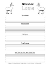 Lama-Steckbriefvorlage-sw.pdf